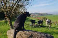 Rocky a kamarádi 18.4.2018