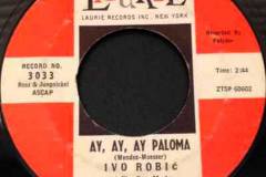 Ivo Robič u Polydoru